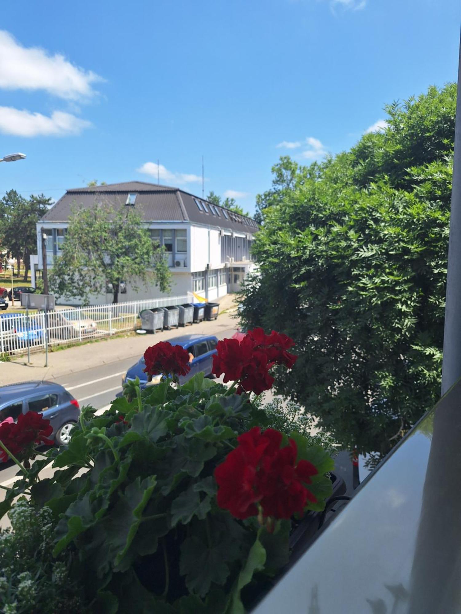 Garni Hotel Ema Kragujevac Buitenkant foto