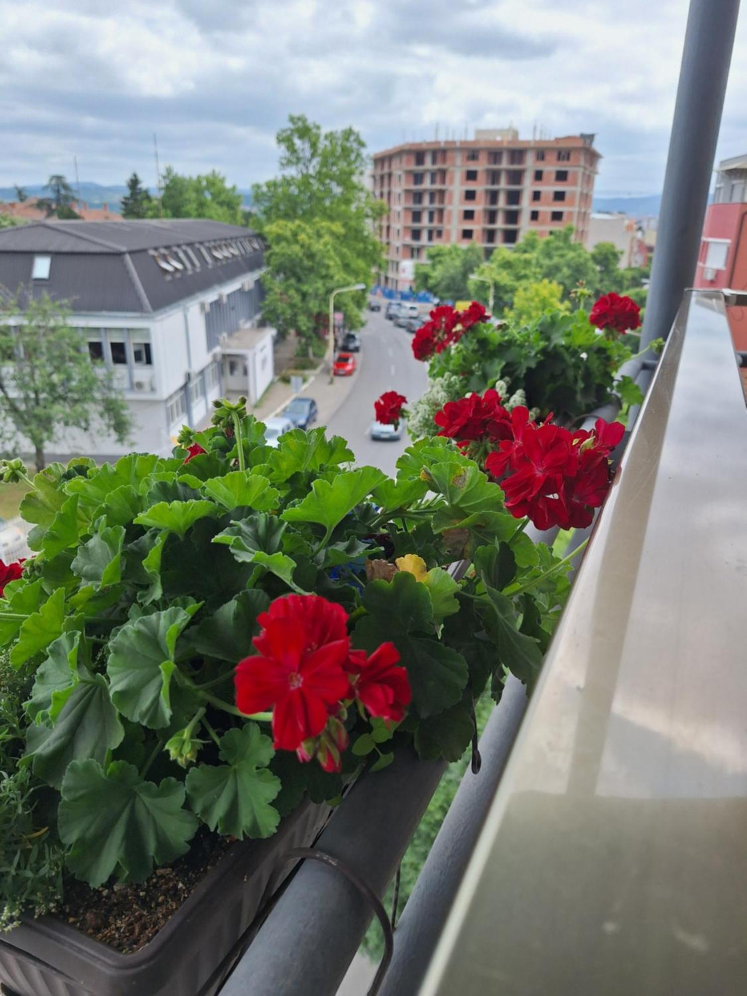 Garni Hotel Ema Kragujevac Buitenkant foto